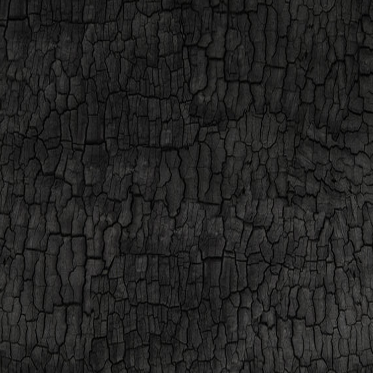 images of flight cses