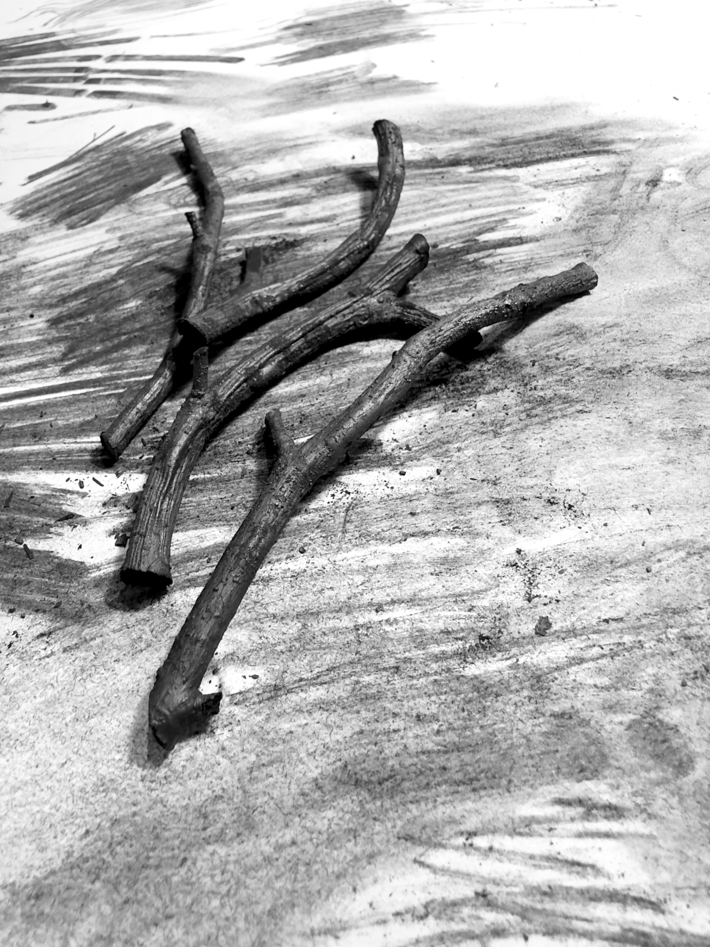 images of flight cses