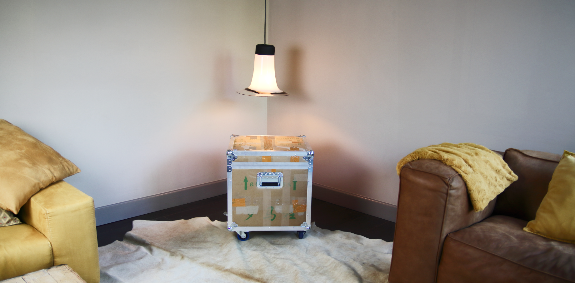 flightcase in living room