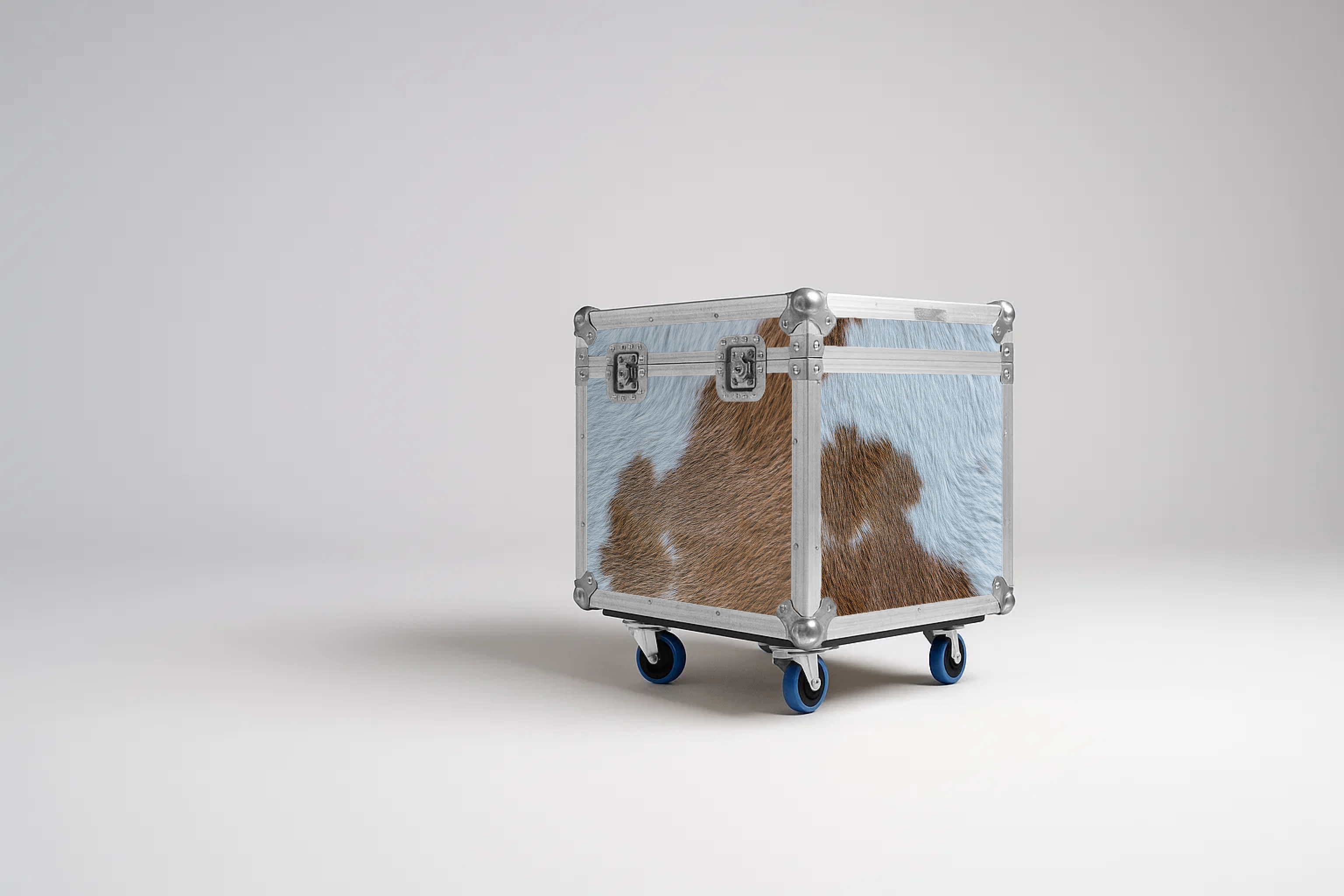 image of a flight case